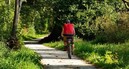 How to: Beat hay fever when cycling